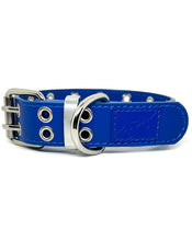 Load image into Gallery viewer, Loosey Love You "Furry Friend" Collar  // Blue
